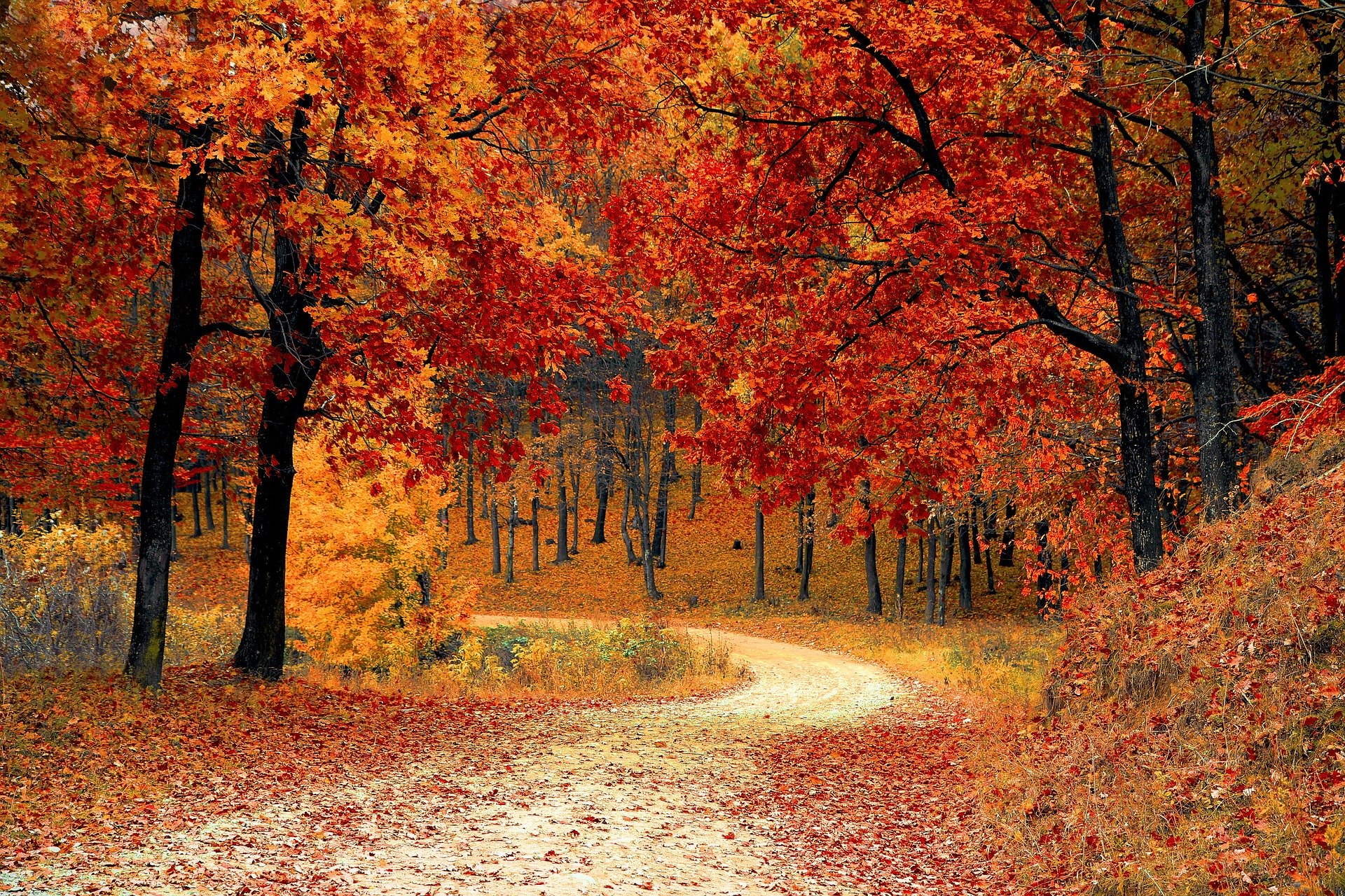 Herbstliches Gedankenwirrwarr